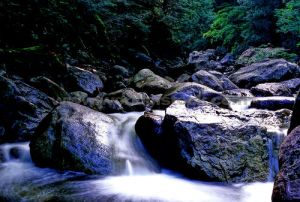 ADIRONDACK  MOUNTAIN STREAM