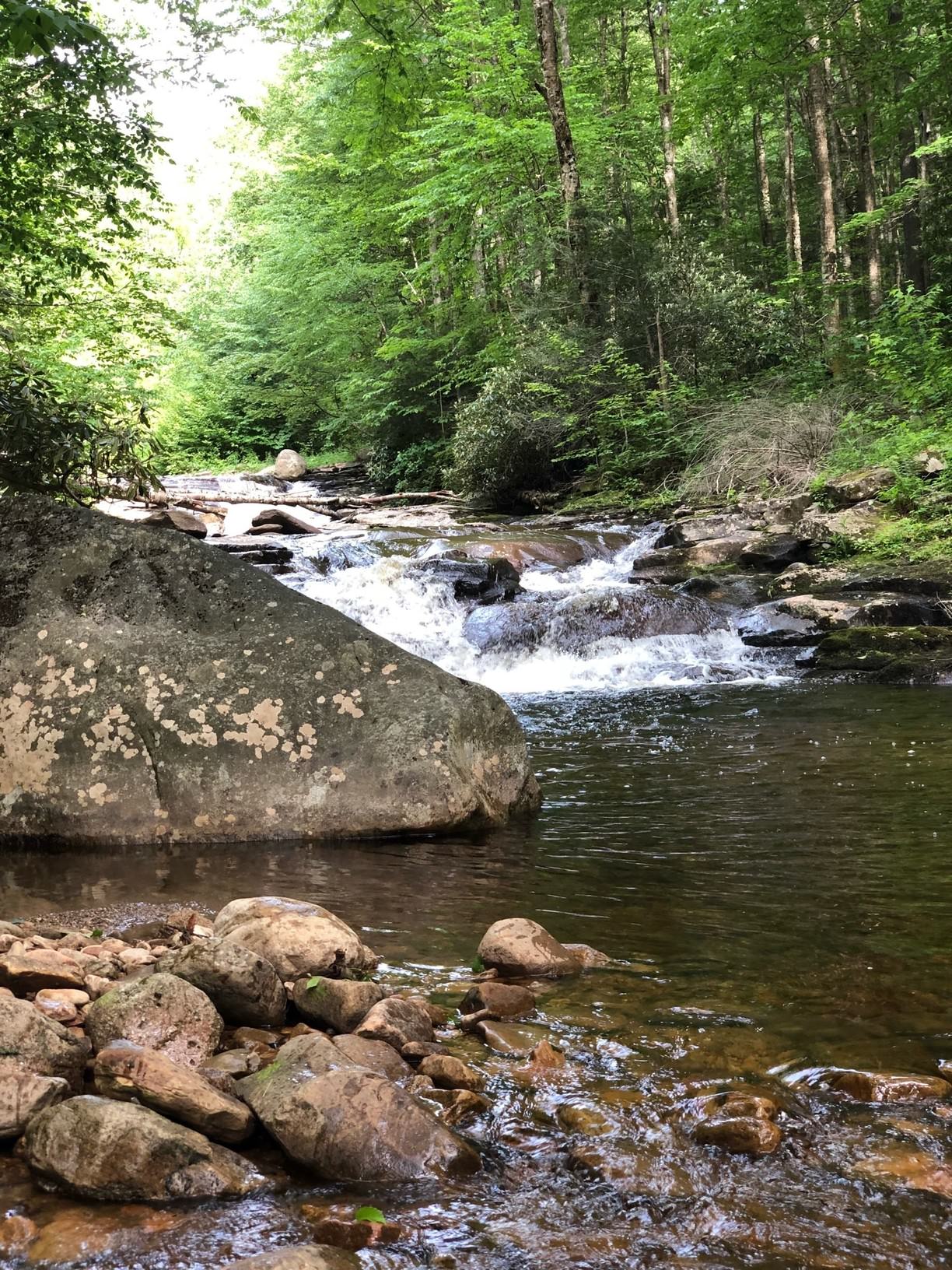Dolly Sods Brook Stream